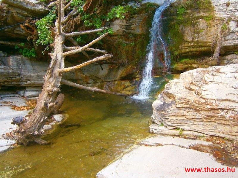 Az öreg falu, a vén platán és a folyók meséje